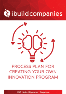 Download your free PDF: "Process Plan for Creating Your Own Innovation Program" - By Jeanne Heydecker - ibuildcompanies.com